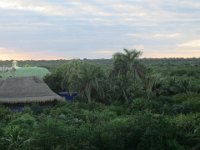Rooftop View