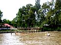 thedelta