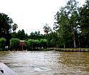 the delta