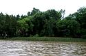 the delta