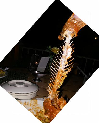yum2