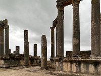 IMG 3887