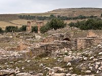 IMG 3901