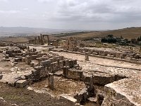 IMG 3909