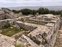 IMG 3914