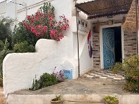 IMG 4101