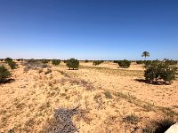 IMG 4191