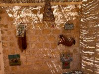 IMG 4260