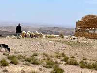 IMG 4284