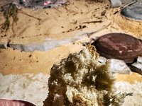 right out of the sand.  Warm and delicious