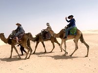 IMG 4427