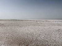 IMG 4458