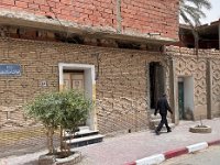 By law, all buildings in the City of Tonzeur have to have these bricks and are known for their distintive patterning.
