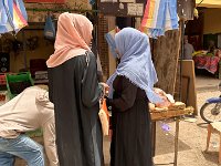 IMG 4541