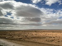 IMG 4611