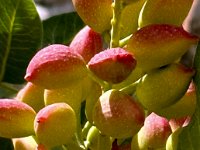 IMG 4619