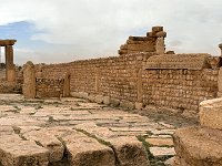 IMG 4649
