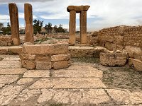 IMG 4656