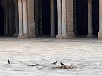IMG 4731