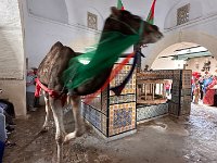 IMG 4773