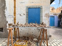 IMG 4789