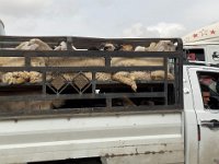Local traffic