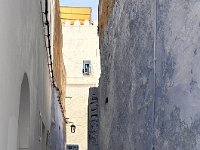 IMG 4948