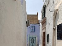 IMG 4951