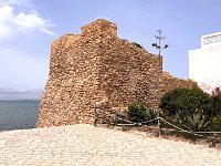 IMG 4964