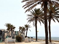 IMG 4966