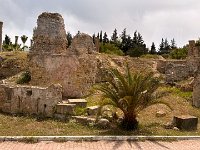 IMG 4983