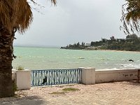 IMG 4989