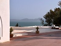 View from the back of the house