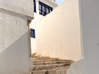 Morning walk up the stairs to the top of the highest point in Tunis