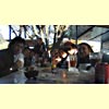 thumb_mariscosGroup_jpg.jpg - 3259 Bytes