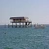 Stilthouse with dolphin