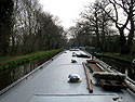 Down the Wey