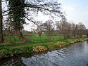 riverbank