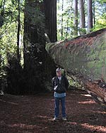 t_littleEd.jpg - 9446 Bytes