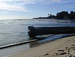 t_mendocinoCoast3.jpg - 4032 Bytes