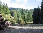 t_riveredge.jpg - 5404 Bytes
