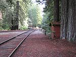 t_tracks.jpg - 5979 Bytes