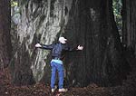 t_treehugger.jpg - 4494 Bytes