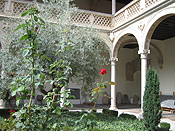 museum courtyard