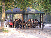 beergarden