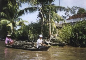 Mekong Delta