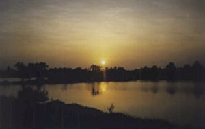 Mekong Delta