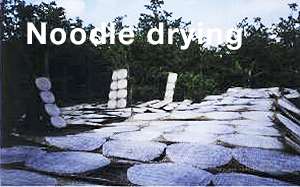 Noodles