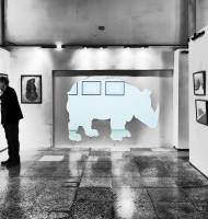TheRhinoInTheRoom