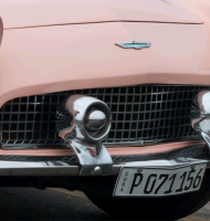 pinkTbird